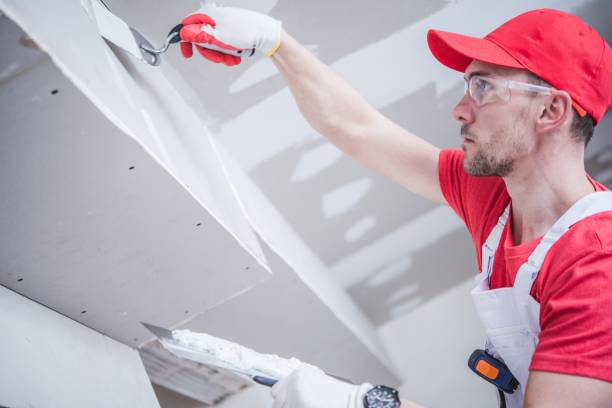 Best Environmental Consulting for Mold Prevention  in Sissonville, WV