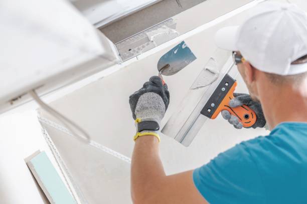 Best Industrial Mold Remediation  in Sissonville, WV